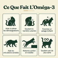 Felinutra Omega 3 Marin EPA+DHA Pour Chats