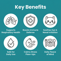 KittySupps™ L-Lysine Supplement
