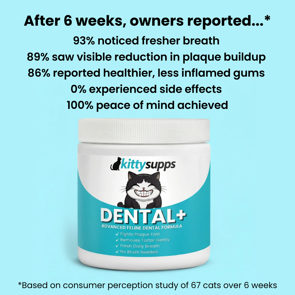 KittySupps™ Dental+ Supplement