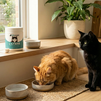 KittySupps™ L-Lysine Supplement