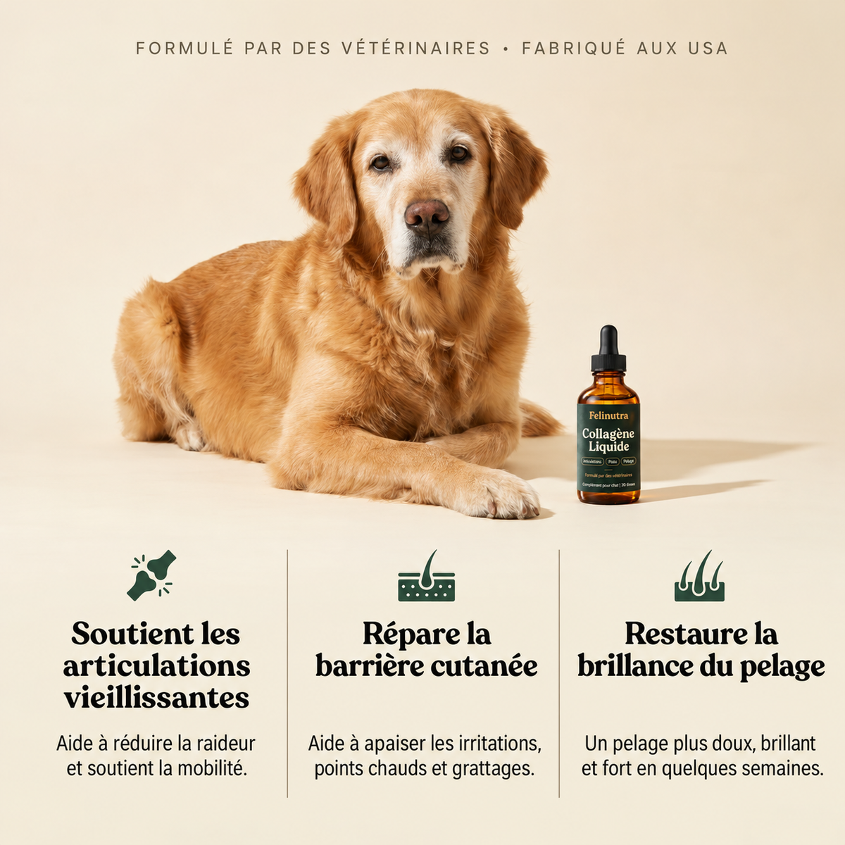 Felinutra Collagene Liquide