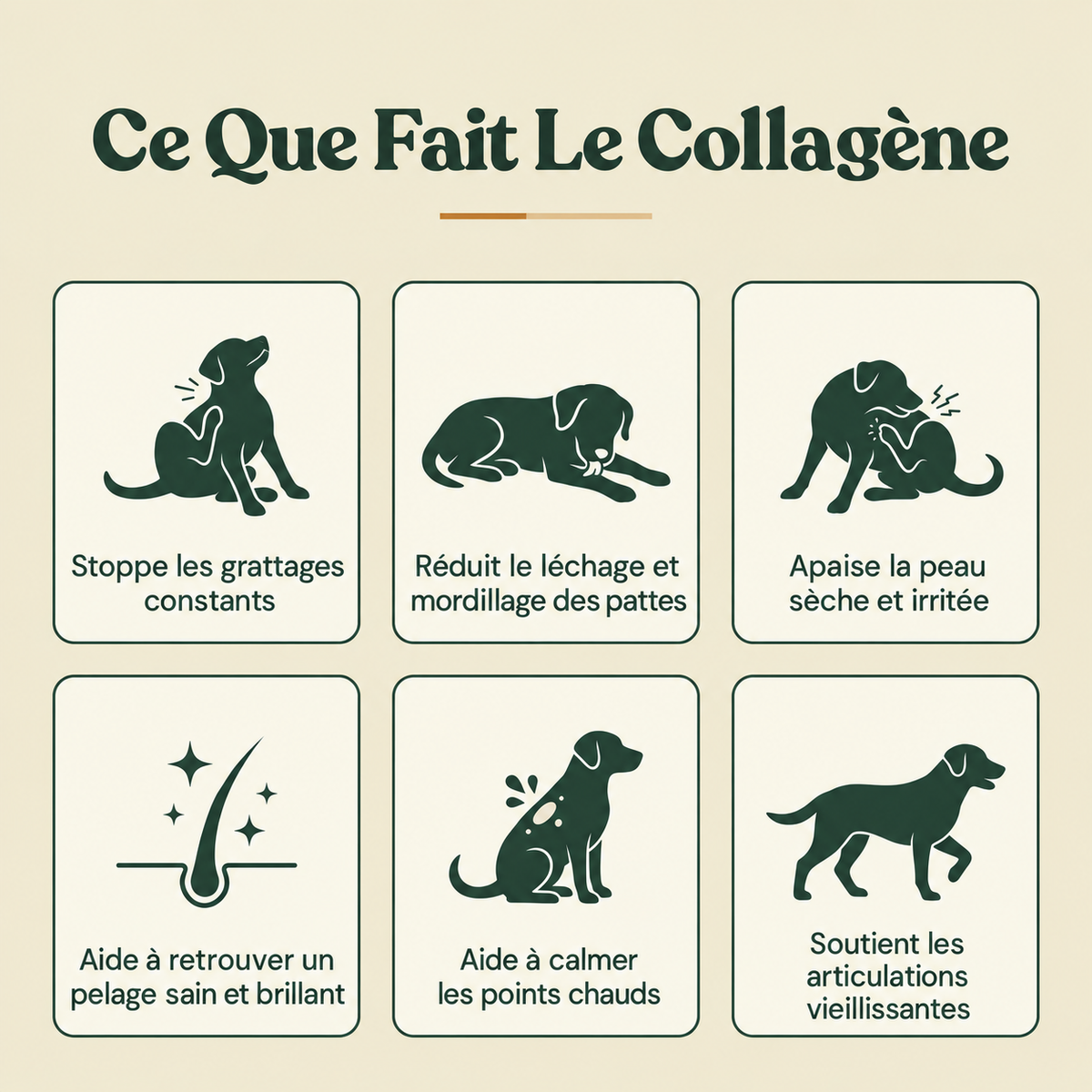 Felinutra Collagene Liquide