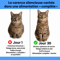 KittySupps™ Taurine Supplement (Copie)