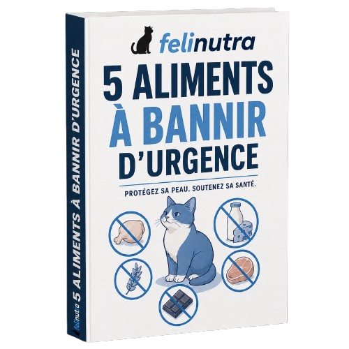 5 Aliments à Bannir d'Urgence