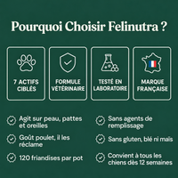 Felinutra Friandises Démangeaisons & Immunité Pour Chiens