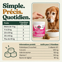 Felinutra Friandises Démangeaisons & Immunité Pour Chiens