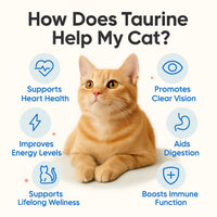 PureTaurine+