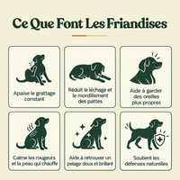 Felinutra Friandises Démangeaisons & Immunité Pour Chiens